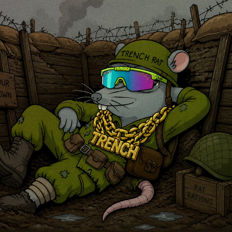 Rat sunglasses